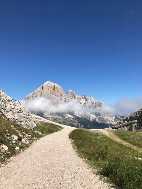 Ciało wskazuje drogę