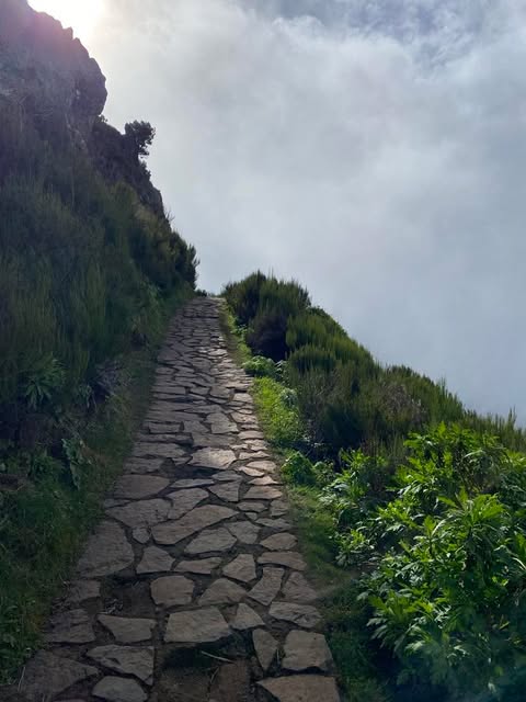 „Jak przestać się martwić i zacząć żyć?”